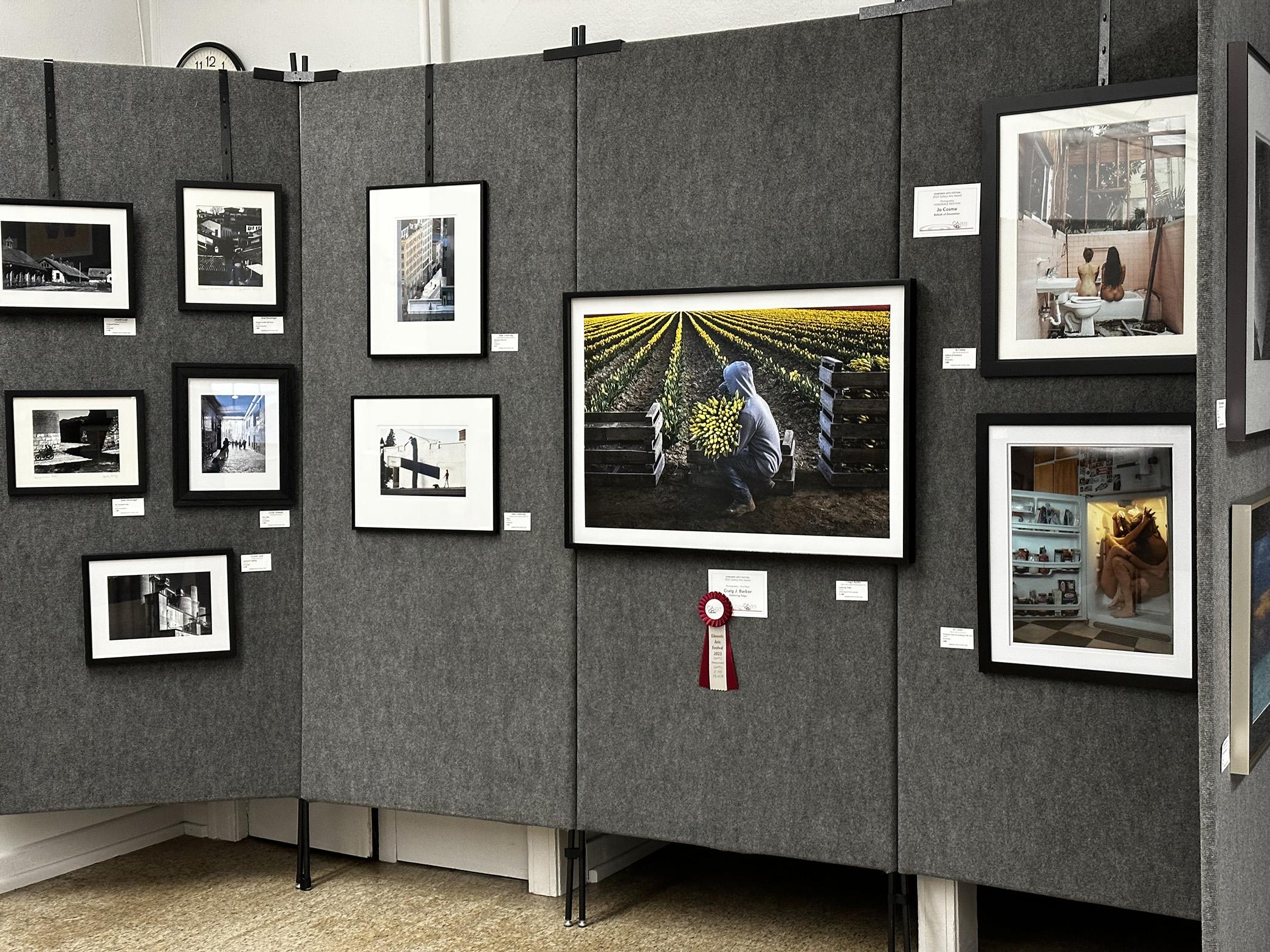 Edmonds Arts Festival Photography and Digital Art Gallery